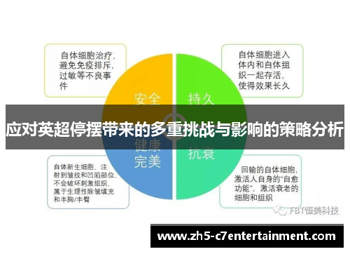 应对英超停摆带来的多重挑战与影响的策略分析