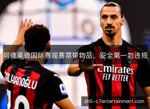 阿德莱德国际赛观赛禁带物品，安全第一勿违规